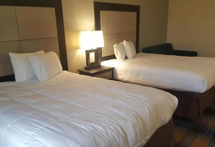 スタンダードルーム, Regency Inn & Suites