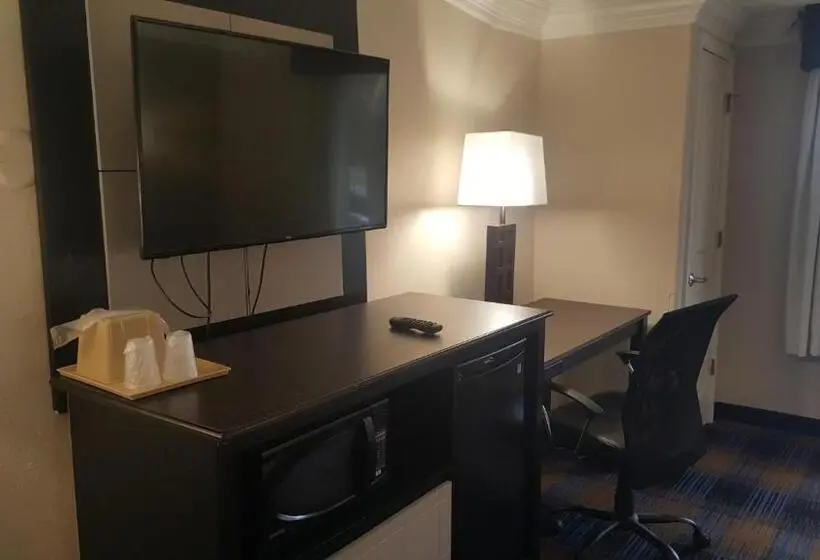 キングサイズベッドのスタンダードルーム, Regency Inn & Suites