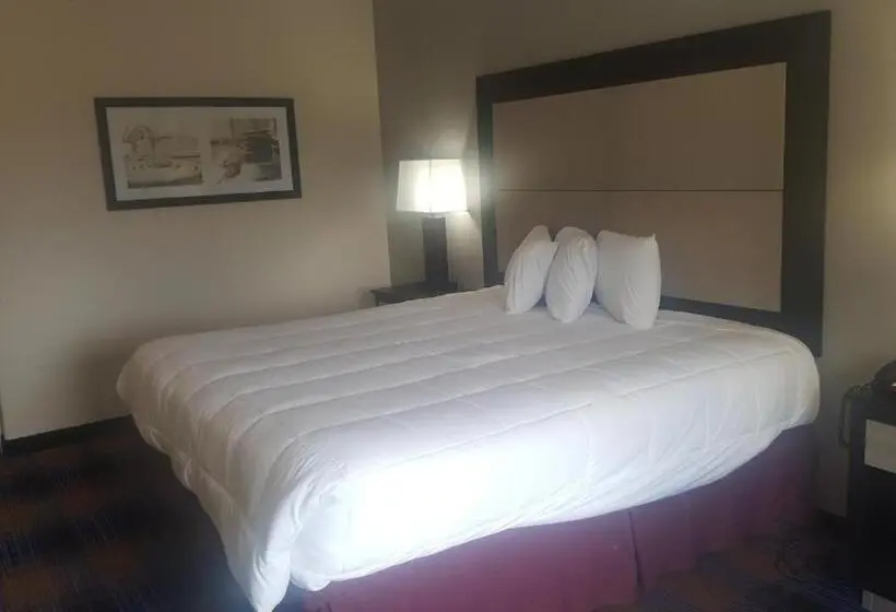 キングサイズベッドのスタンダードルーム, Regency Inn & Suites