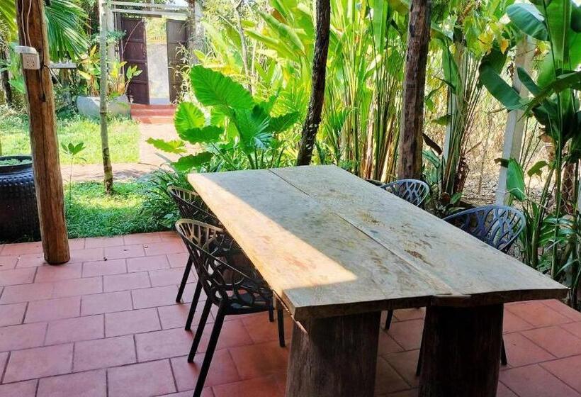 חדר סטנדרט, Urban Farmhouse