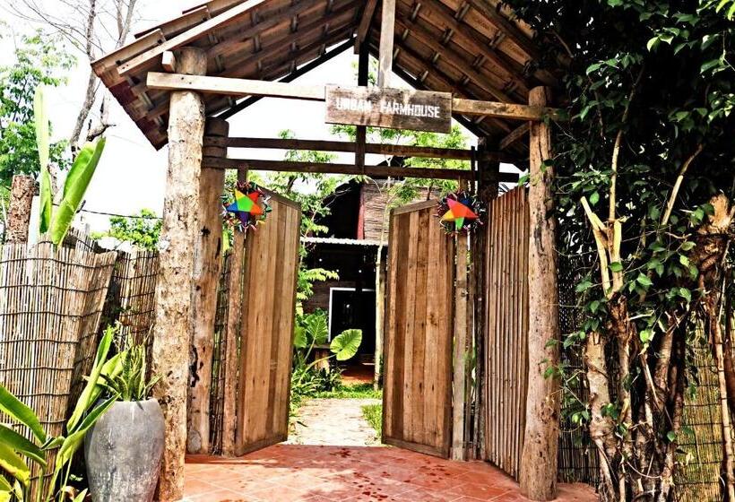 スタンダードルーム, Urban Farmhouse