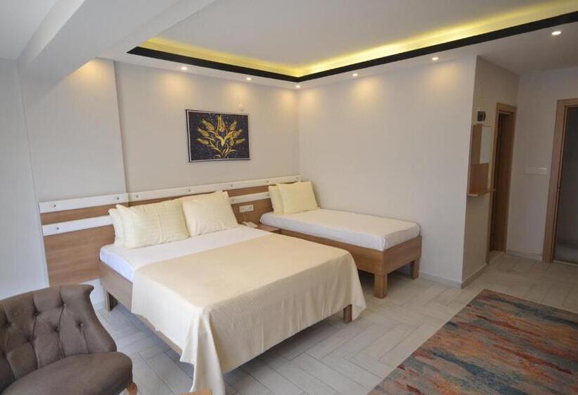 이코노미 룸, Karasu Elmasotel