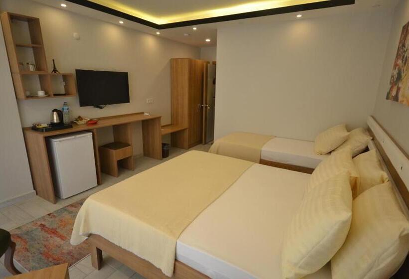 이코노미 룸, Karasu Elmasotel