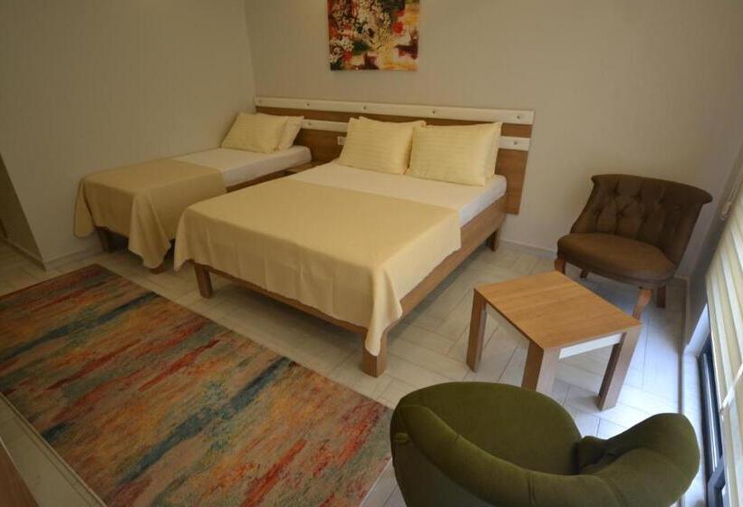 이코노미 룸, Karasu Elmasotel