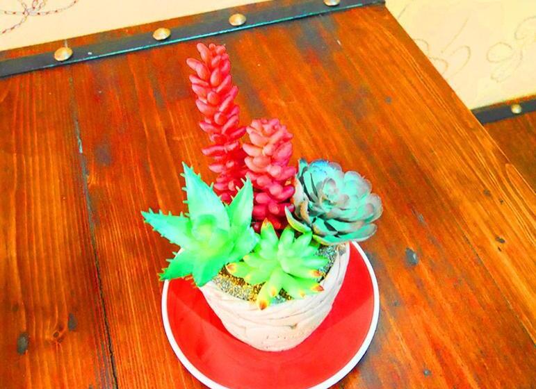 Люкс, Mexican Resortlampang