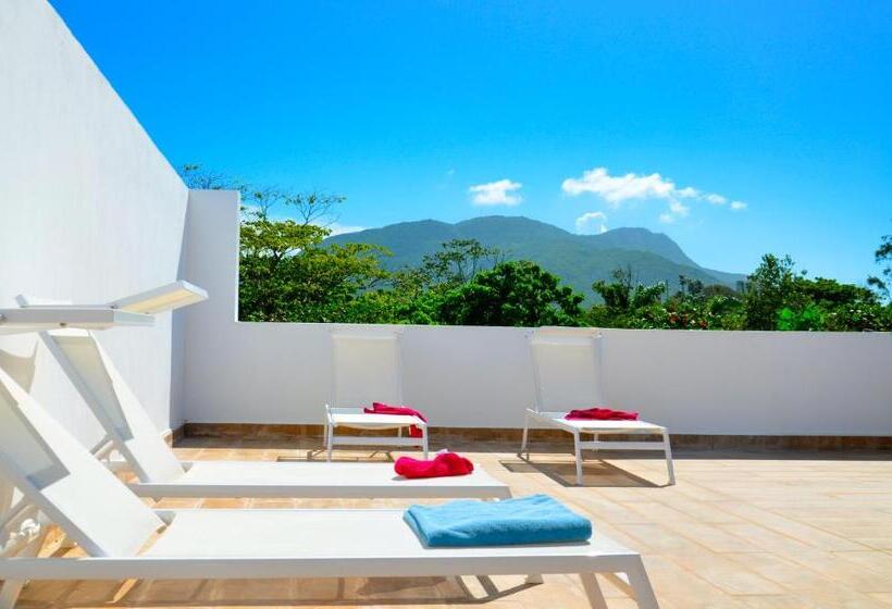 דירת חדר, Rosil Place