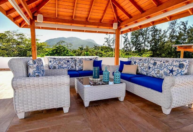 דירת חדר, Rosil Place