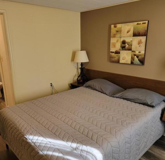 غرفة إقتصادية, The Willows Motel