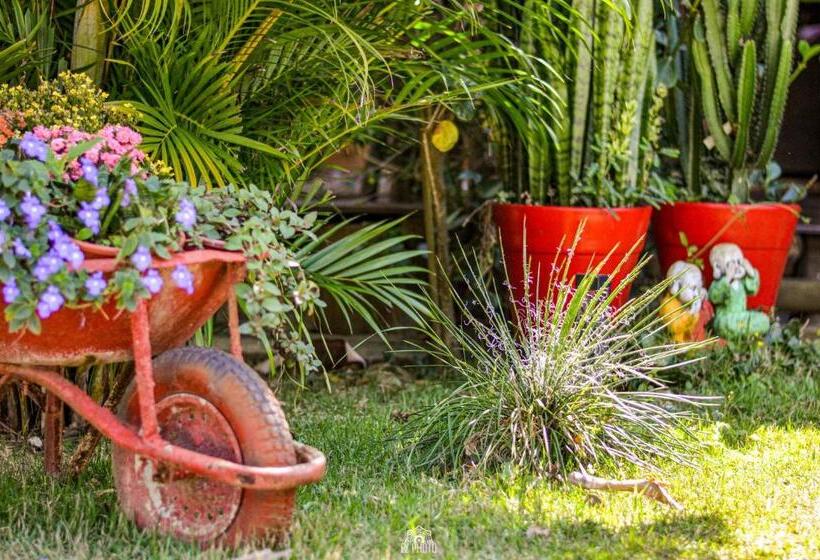 خانه 3 خوابه, Bangalô House Praia Do Rosa Sc