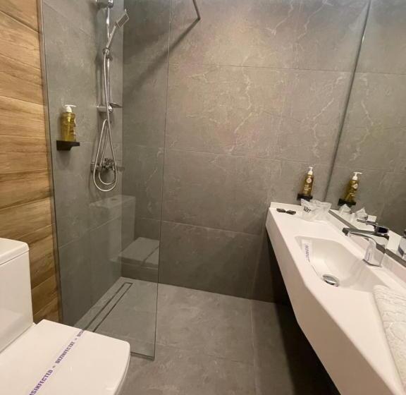 １ベッドルームアパートメント, Complex Hotelier Steaua De Mare   Hotel Delfinul