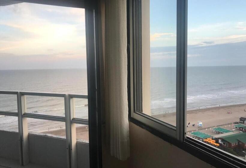 스탠다드 룸, Coliseo