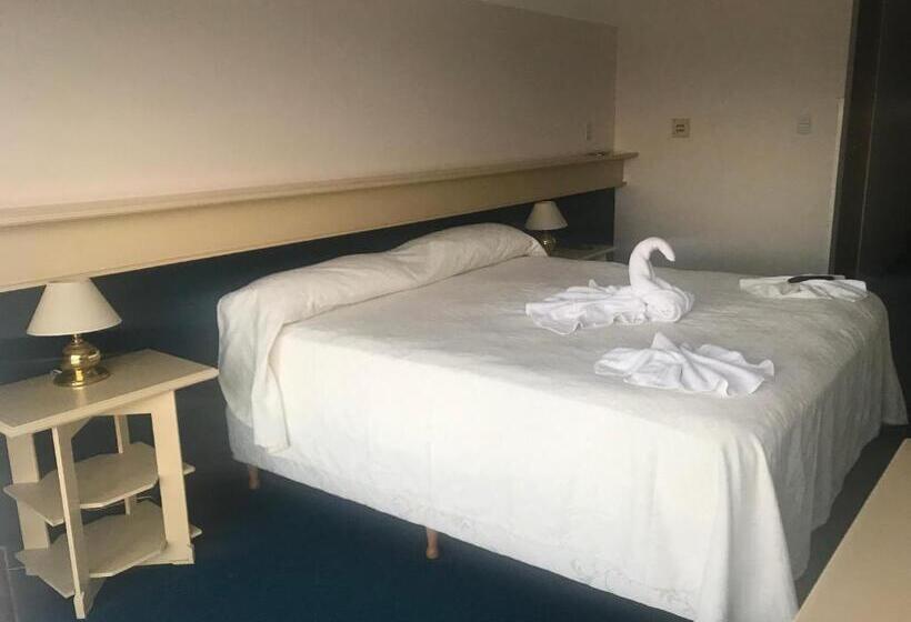 스탠다드 룸, Coliseo