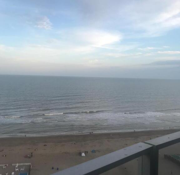 스탠다드 트리플 룸, Coliseo