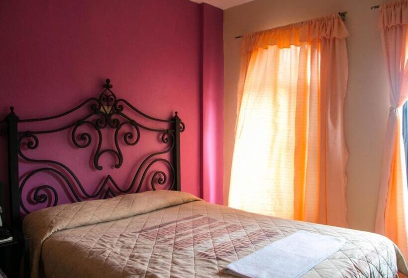 Номер Стандарт, Dolores