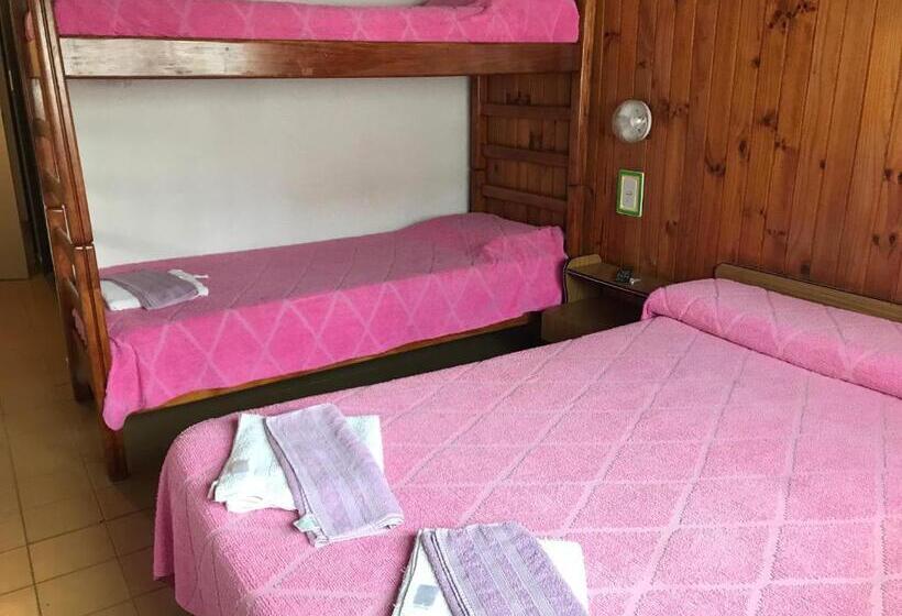 Четырехместный Номер Стандарт, Las Violetas