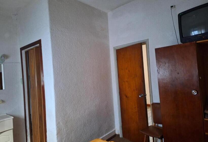 Номер Стандарт, Las Violetas