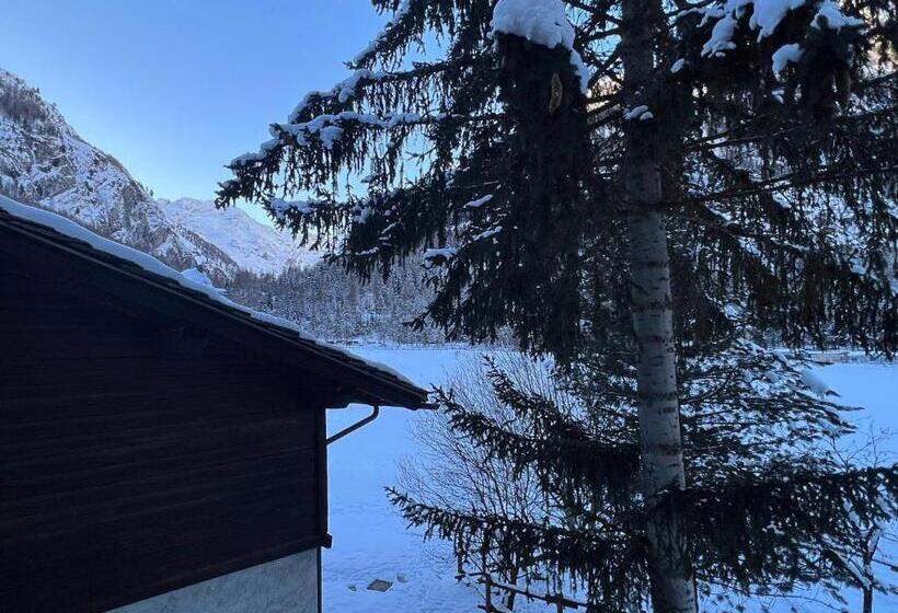 스탠다드 전망 룸, Ondezana