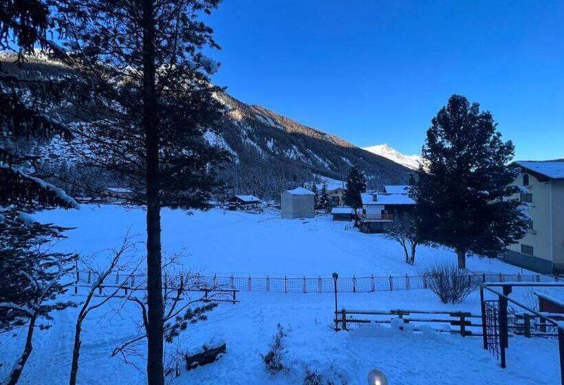 스탠다드 전망 룸, Ondezana