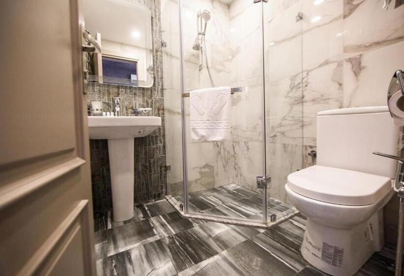 חדר דלוקס, Passage Modern Hotel Baku