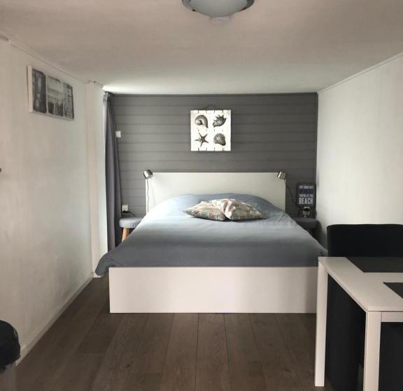 استودیوی استاندارد, Beach Break Zandvoort