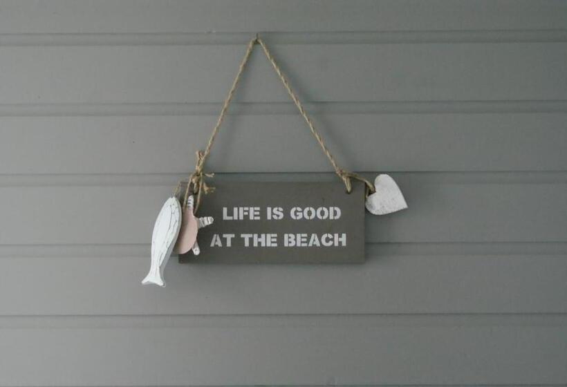 استودیوی استاندارد, Beach Break Zandvoort