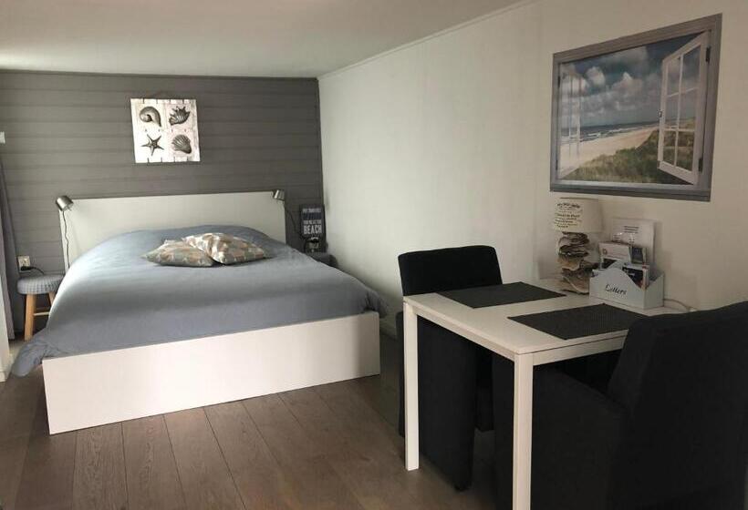 استودیوی استاندارد, Beach Break Zandvoort