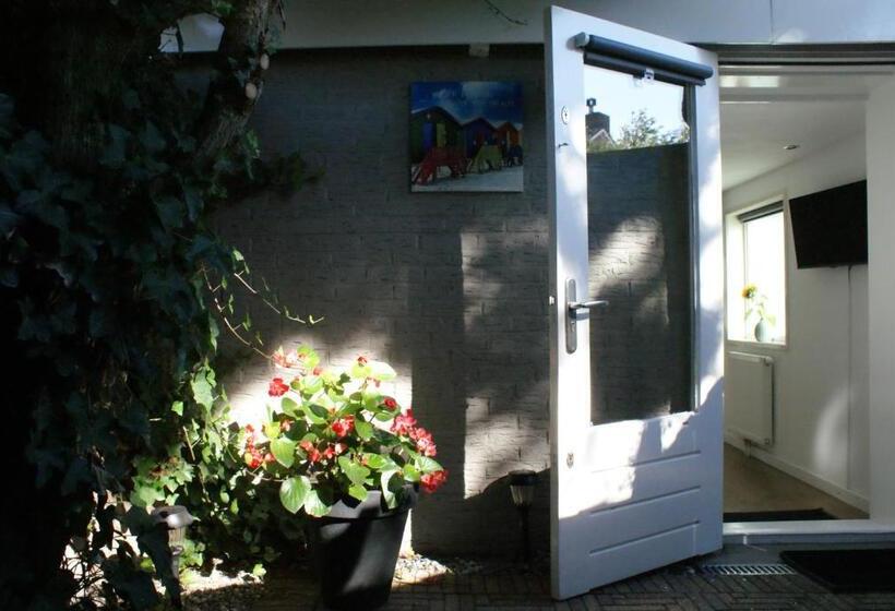 استودیو استاندارد با تراس, Beach Break Zandvoort