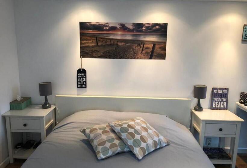 استودیو استاندارد با تراس, Beach Break Zandvoort