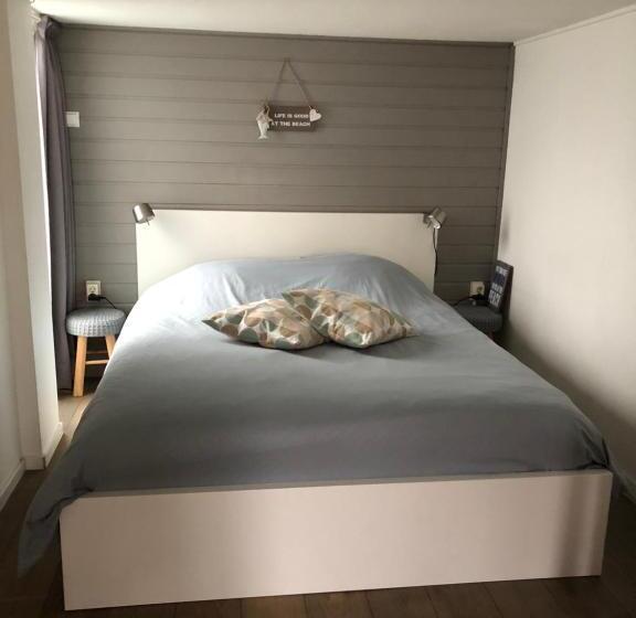 استودیوی استاندارد, Beach Break Zandvoort