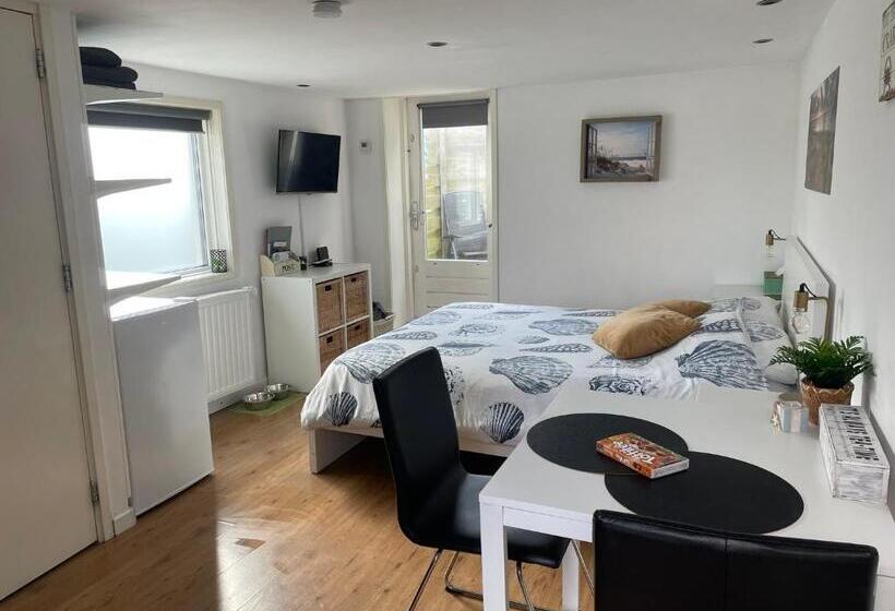 استودیو استاندارد با تراس, Beach Break Zandvoort