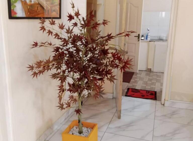 اتاق لوکس, Marrets International Villa