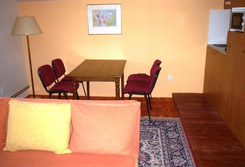 إستديو عائلى, Pension Schaumannův Dvůr