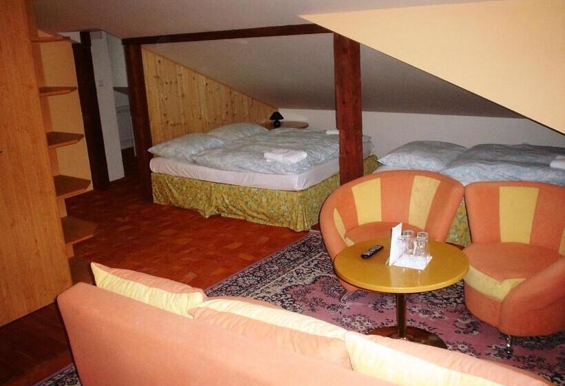 إستديو عائلى, Pension Schaumannův Dvůr