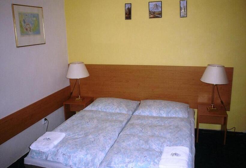 غرفة قياسية, Pension Schaumannův Dvůr