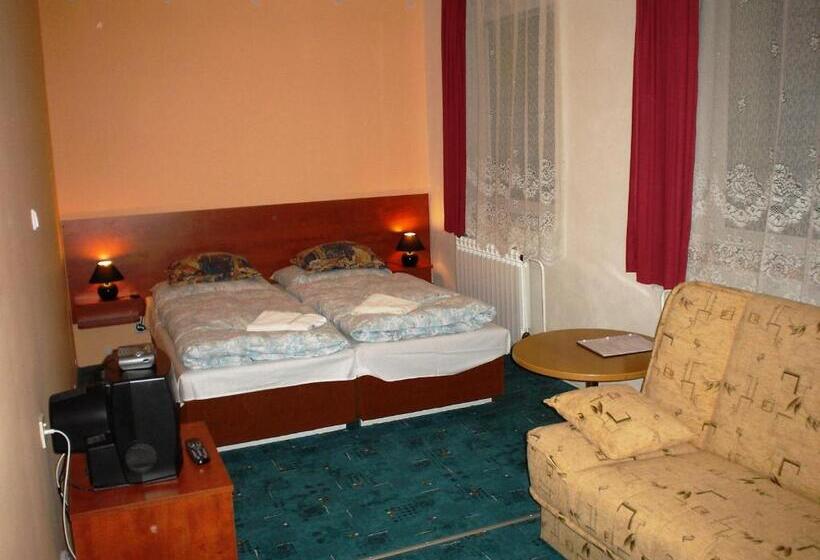 غرفة قياسية, Pension Schaumannův Dvůr