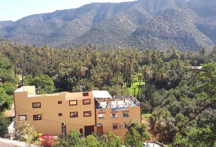 ویلای یک اتاق خوابه با استخر شنا, Gite Rurale Sousse Paradis Vallée