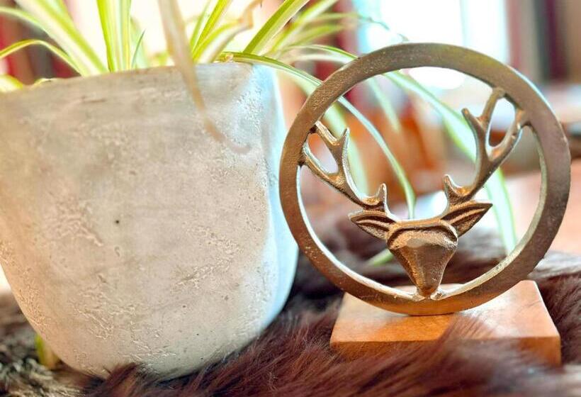 Номер Стандарт Индивидуальный, Tirolerhof Dölsach