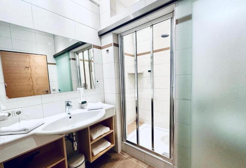 Номер Стандарт Индивидуальный, Tirolerhof Dölsach