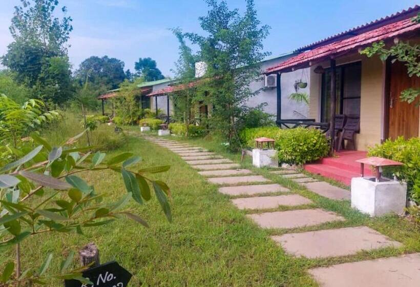 Номер Deluxe, Grand Narmada Homestay Jungle Resort , Madhya Pradesh