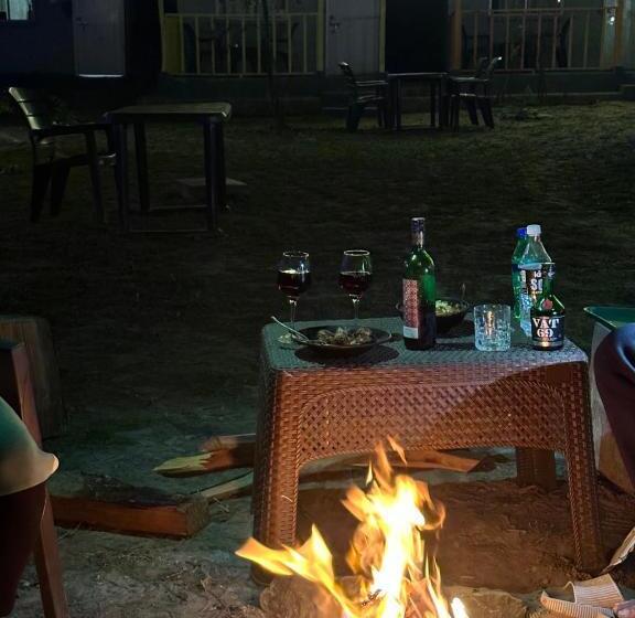 Habitación Estàndard Individual, Asher Woods