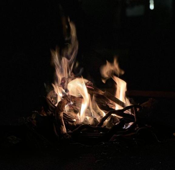 Habitación Estàndard Individual, Asher Woods