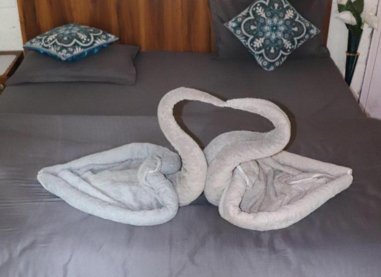 Habitación Estàndard Individual, Asher Woods