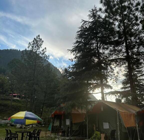 Tienda Estándar, Asher Woods