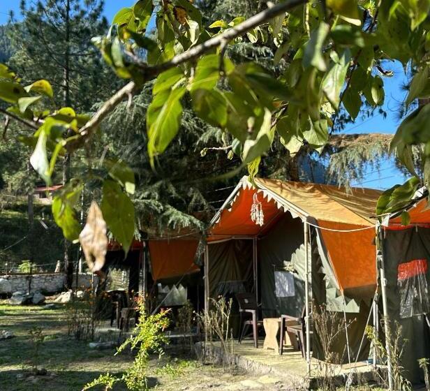 Tienda Estándar, Asher Woods