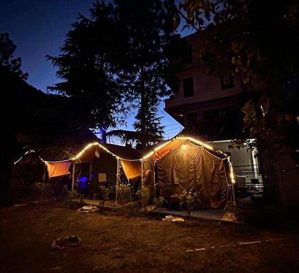 Tienda Estándar, Asher Woods