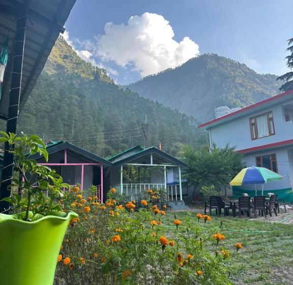 Habitación Estàndard Individual, Asher Woods