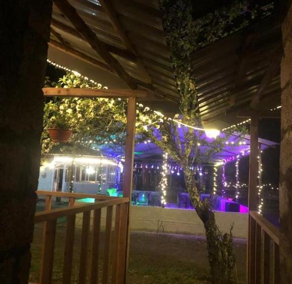 Habitación Estàndard Individual, Asher Woods