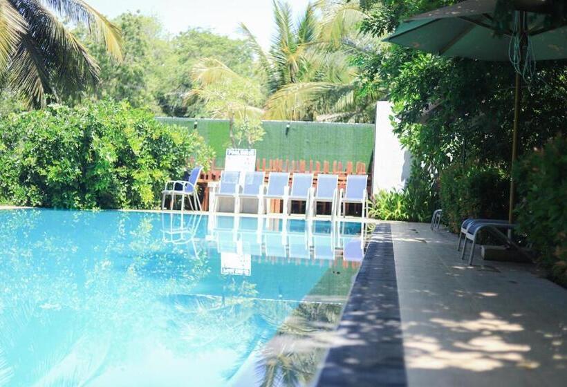 غرفة قياسية مطلّة علي حمام السباحة, Ro Kalawewa