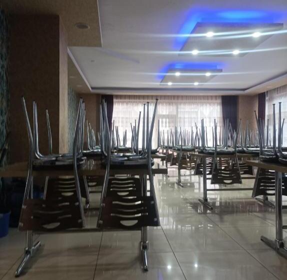 جناح جونيور عائلى, Yeni Van Otel