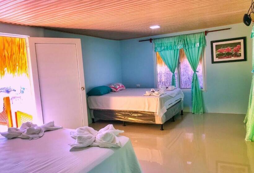 اتاق لوکس, Brunette Beach